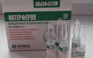 Интерферон капли в нос детям: инструкция по применению грудничкам