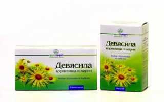 Корень девясила: от чего помогает, свойства и противопоказания