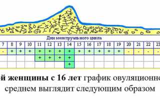 Как легко вычислить день овуляцию для зачатия