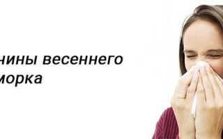 Сопли весной причины, лечение у взрослых и детей