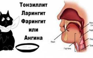 В чем отличие фарингита от ларингита? Признаки ларингофарингита