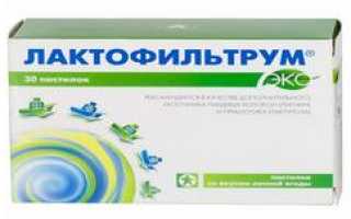 Лактофильтрум дешевые аналоги (список с ценами), какой лучше