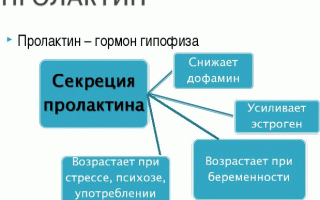 Гормон пролактин и его отклонения от норм у женщин