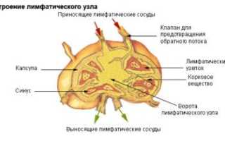 Причины по которым могут болеть лимфоузлы за ушами