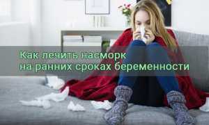 Насморк при беременности 1 триместр чем лечить