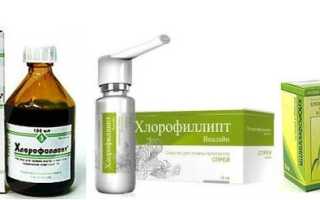 Хлорофиллипт для полоскания горла как разводить, инструкция