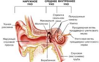Что делать, если после бассейна сильно болит ухо?