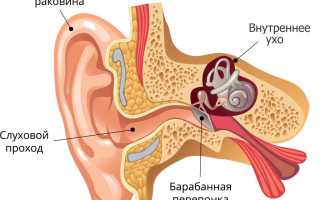 Почему закладывает уши?
