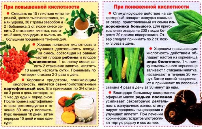 лечение гастрита травами