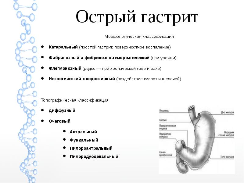 поверхностный антрум гастрит