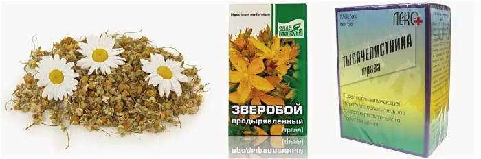 травы при гастрите желудка