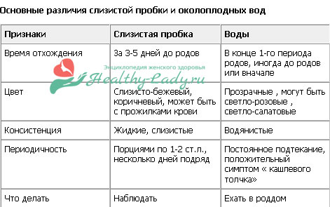 Расположение слизистой пробки