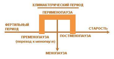 стадии климактерического периода
