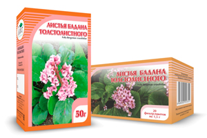 Бадан