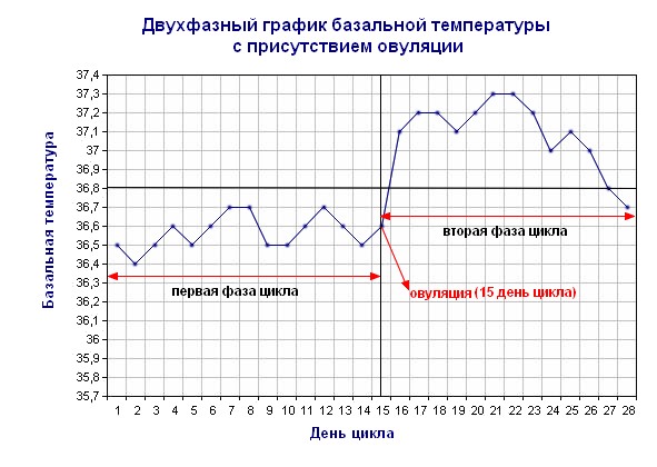 Базальная температура в календаре