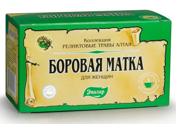 Терапия боровой маткой
