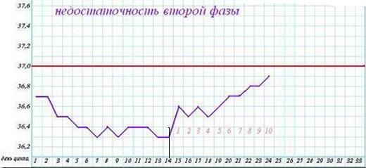 график базальной температуры при НЛФ