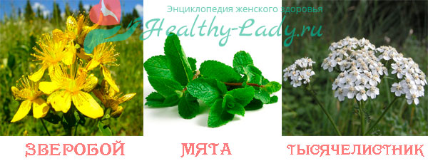 Вид зверобоя, мяты и тысячелистника