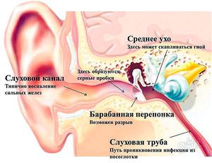 Болит за ухом - что делать