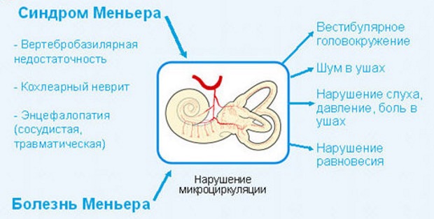 Проявления болезни