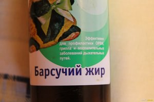 Описание лечебных свойств жира барсука